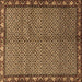 Square Persian Brown Traditional Rug, tr2245brn
