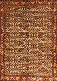 Persian Orange Traditional Rug, tr2245org