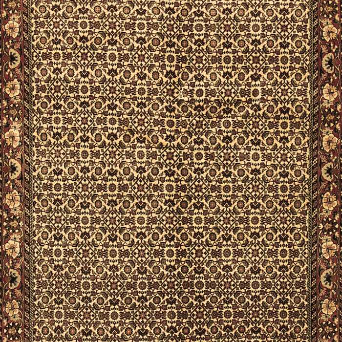 Machine Washable Persian Brown Traditional Rug, wshtr2245brn