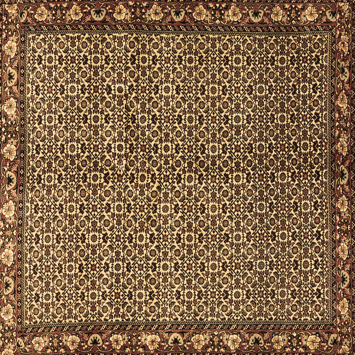 Square Machine Washable Persian Brown Traditional Rug, wshtr2245brn