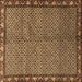 Square Machine Washable Persian Brown Traditional Rug, wshtr2245brn