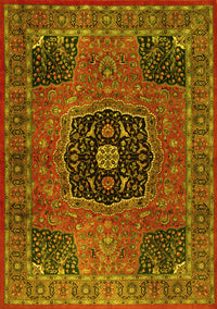 Persian Yellow Traditional Rug, tr2249yw