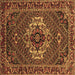 Square Persian Brown Traditional Rug, tr2251brn
