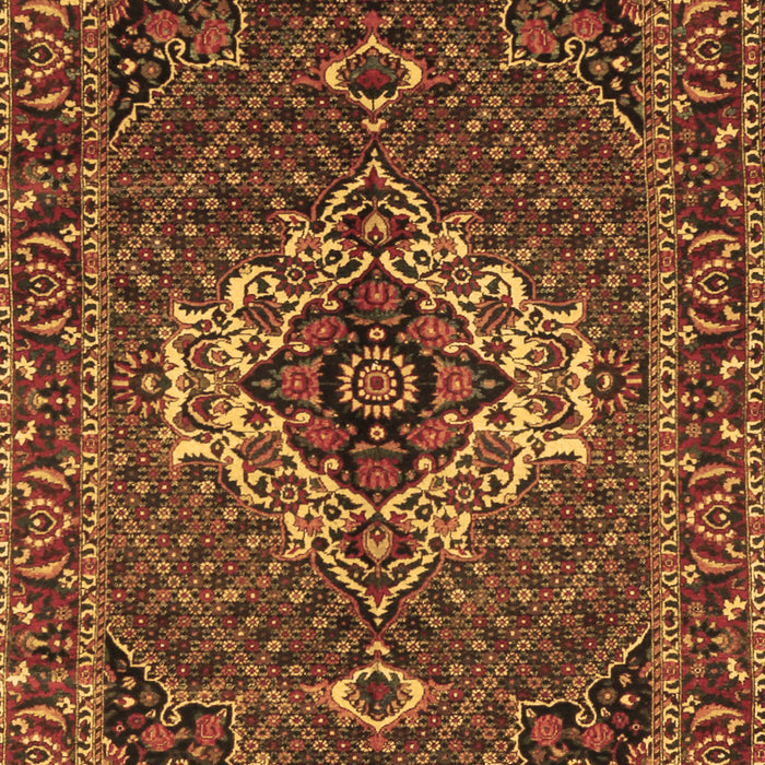 Persian Brown Traditional Rug, tr2251brn