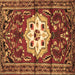Square Persian Brown Traditional Rug, tr2252brn