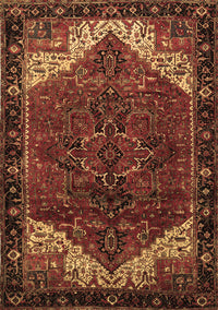 Persian Brown Traditional Rug, tr2254brn