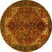 Round Persian Yellow Traditional Rug, tr2255yw