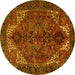 Round Machine Washable Persian Yellow Traditional Rug, wshtr2255yw