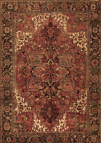 Persian Brown Traditional Rug, tr2255brn