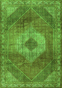 Persian Green Traditional Rug, tr2256grn