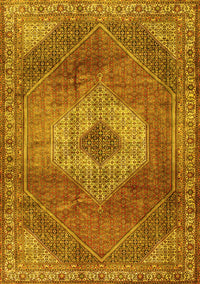 Persian Yellow Traditional Rug, tr2256yw