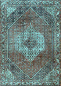Persian Light Blue Traditional Rug, tr2256lblu