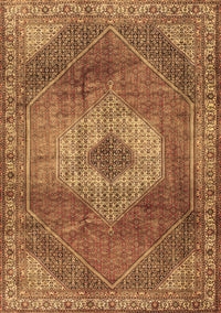 Persian Brown Traditional Rug, tr2256brn