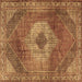 Square Persian Brown Traditional Rug, tr2256brn