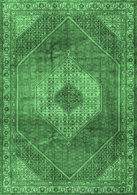 Persian Emerald Green Traditional Rug, tr2256emgrn