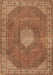 Machine Washable Persian Brown Traditional Rug, wshtr2257brn