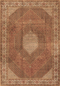Persian Brown Traditional Rug, tr2257brn