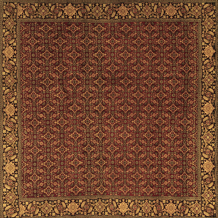 Square Persian Brown Traditional Rug, tr2258brn