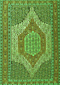 Persian Green Traditional Rug, tr225grn