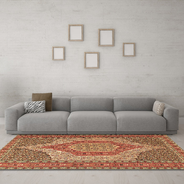 Machine Washable Persian Brown Traditional Rug in a Living Room,, wshtr225brn