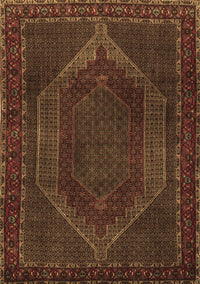 Persian Brown Traditional Rug, tr2260brn