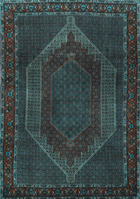 Persian Light Blue Traditional Rug, tr2260lblu