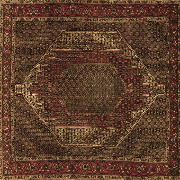 Square Machine Washable Persian Brown Traditional Rug, wshtr2260brn