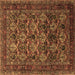 Square Machine Washable Persian Brown Traditional Rug, wshtr2262brn