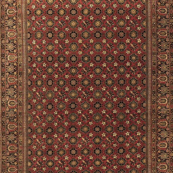 Machine Washable Persian Brown Traditional Rug, wshtr2263brn