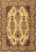 Machine Washable Persian Brown Traditional Rug, wshtr2264brn