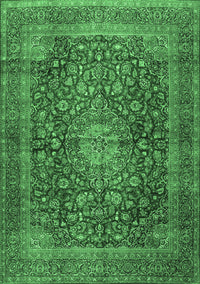 Medallion Emerald Green Traditional Rug, tr2266emgrn