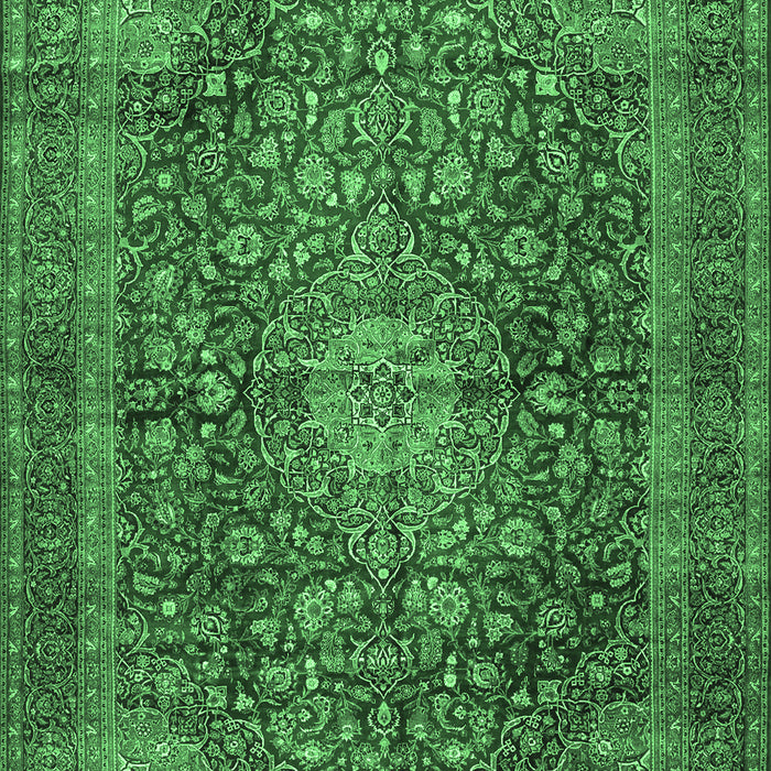 Medallion Emerald Green Traditional Rug, tr2266emgrn