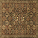 Square Persian Brown Traditional Rug, tr2269brn