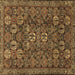 Square Machine Washable Persian Brown Traditional Rug, wshtr2269brn