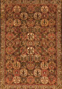 Persian Orange Traditional Rug, tr2269org