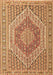 Machine Washable Persian Brown Traditional Rug, wshtr226brn