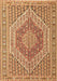 Persian Brown Traditional Rug, tr226brn