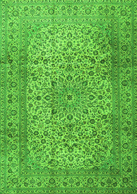 Persian Green Traditional Rug, tr2270grn