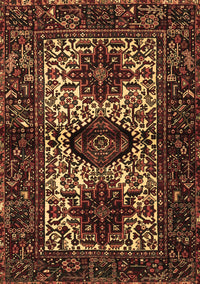 Persian Brown Traditional Rug, tr2271brn