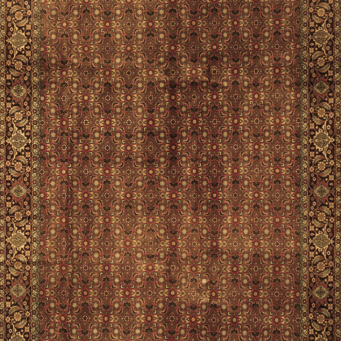 Machine Washable Persian Brown Traditional Rug, wshtr2272brn