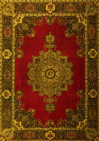 Persian Yellow Traditional Rug, tr2276yw