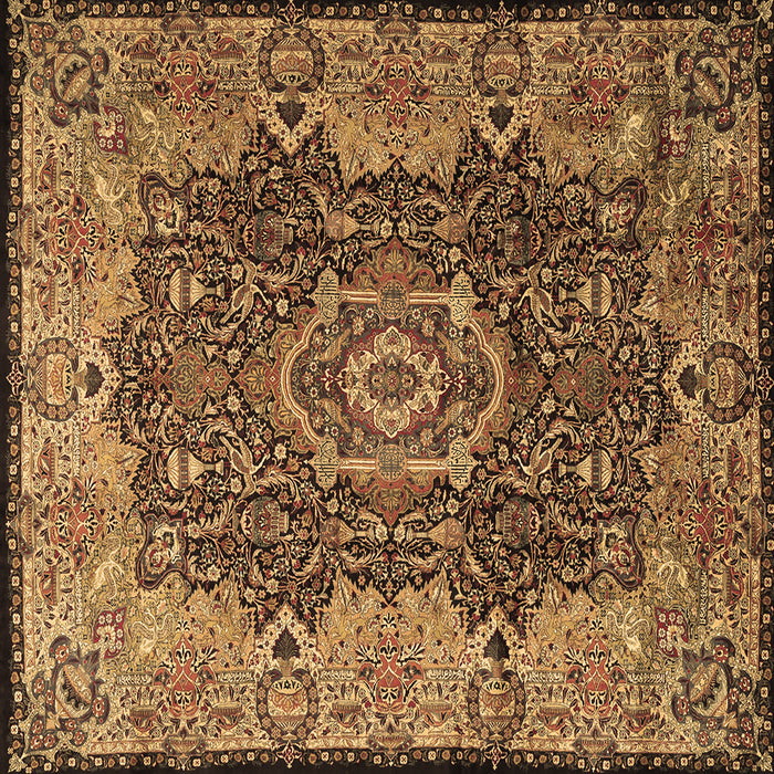 Square Persian Brown Traditional Rug, tr2278brn