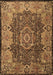 Machine Washable Persian Brown Traditional Rug, wshtr2278brn