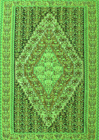 Medallion Green Traditional Rug, tr227grn