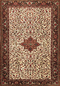 Persian Brown Traditional Rug, tr2283brn