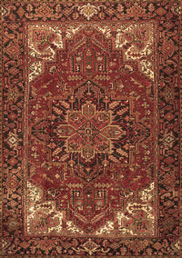 Persian Brown Traditional Rug, tr2284brn