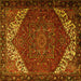 Square Persian Yellow Traditional Rug, tr2285yw