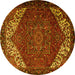 Round Persian Yellow Traditional Rug, tr2285yw