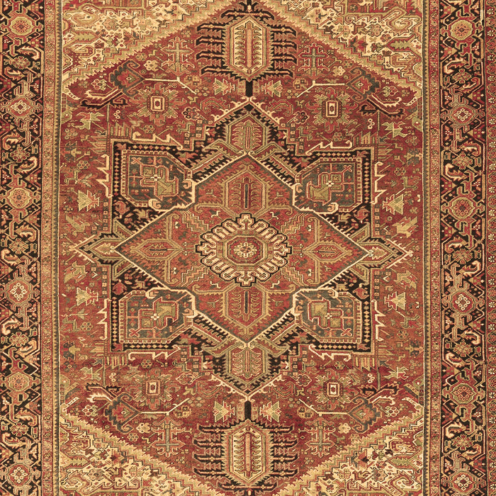 Persian Brown Traditional Rug, tr2287brn