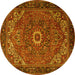 Round Persian Yellow Traditional Rug, tr2288yw